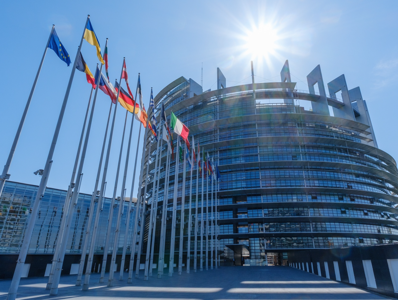 RECEVIN e Cidade Europeia do Vinho 2026 apresentam-se no Parlamento Europeu