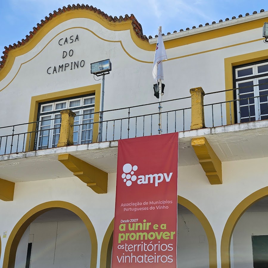 Candidaturas abertas a Cidade do Vinho 2027