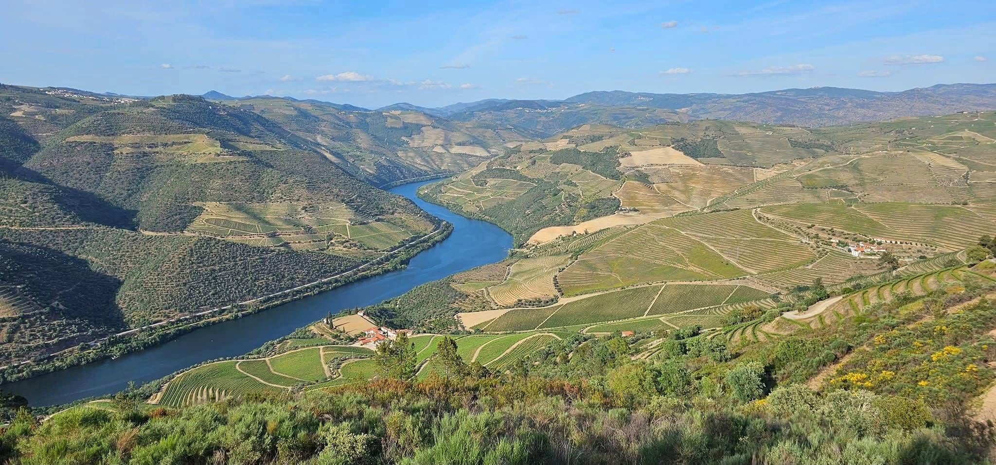 Dia Nacional da Vinha e do Vinho celebrou-se pela primeira vez no dia 31 de julho